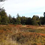 Гостевой дом Corinna Kirchdorf im Wald