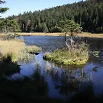 Гостевой дом Corinna Kirchdorf im Wald