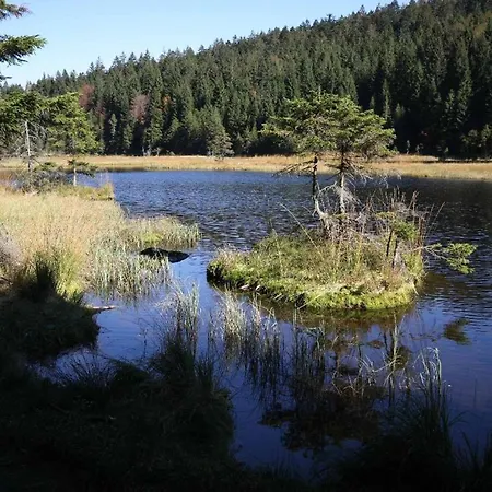 Πανσιόν Corinna Kirchdorf im Wald