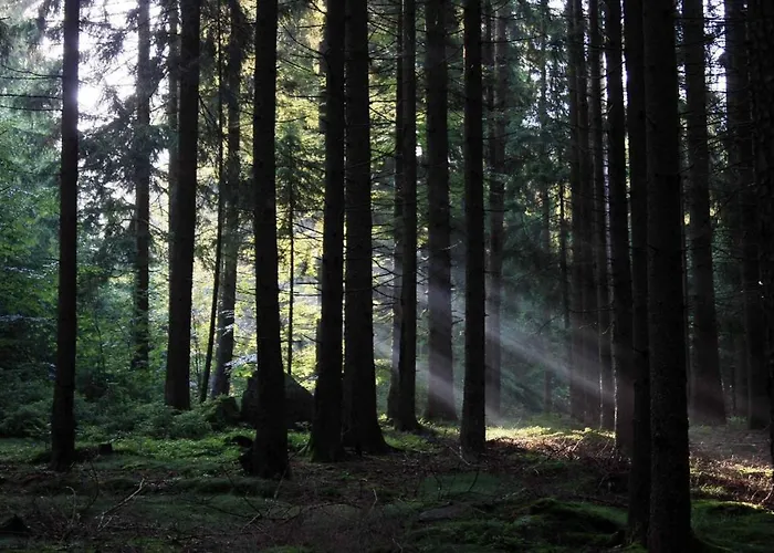 Corinna 4* Kirchdorf im Wald